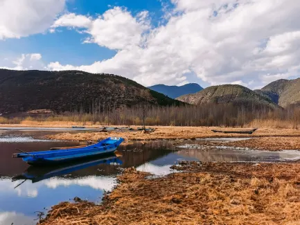 Winning Casino Mobiilirakendus